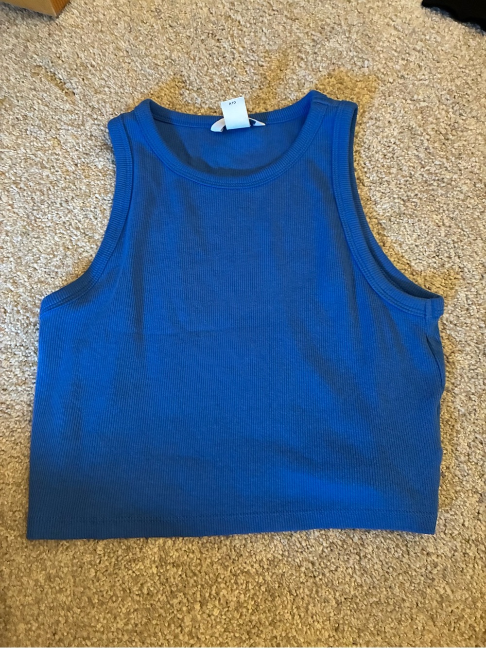 H&M Royal Blue Ribbed Cropped Tank